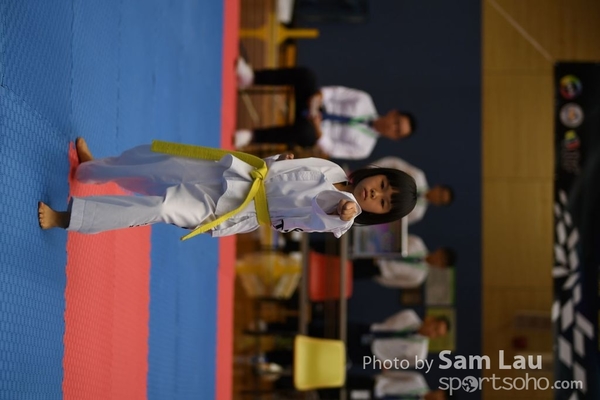 SAM_6774