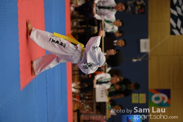 SAM_6778