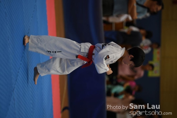 SAM_6828
