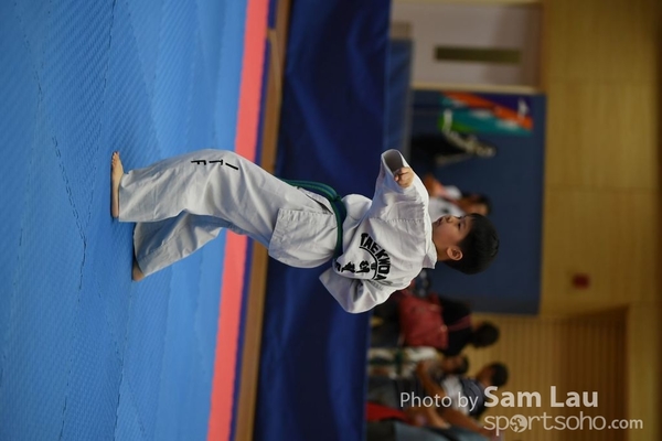 SAM_6878