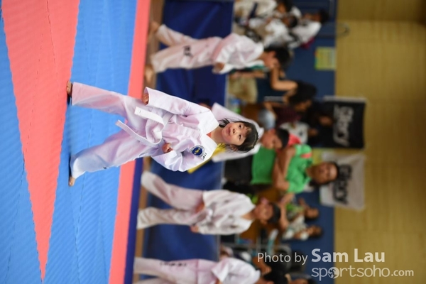 SAM_6939