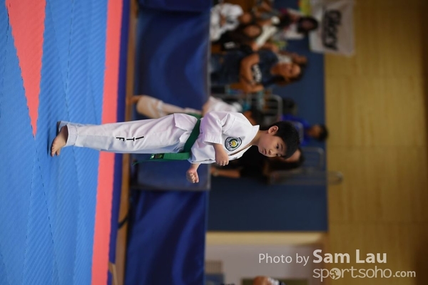 SAM_6952