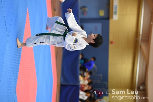 SAM_6954