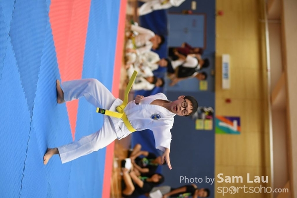 SAM_6981
