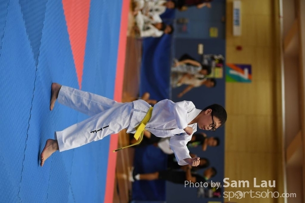 SAM_6984
