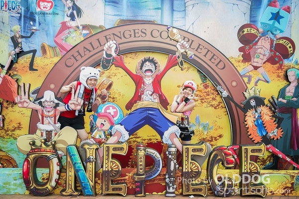 One Piece (831)