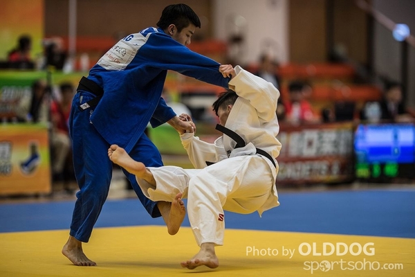 Judo (3)