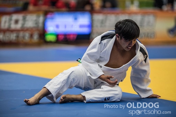 Judo (15)
