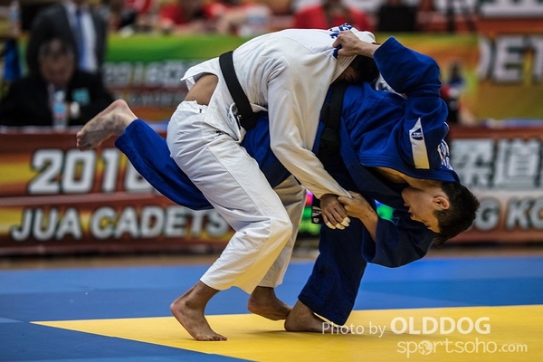 Judo (19)