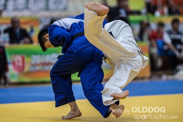 Judo (23)