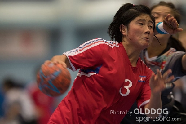 Handball (50)