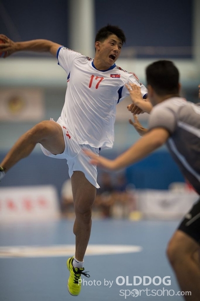 Handball (60)