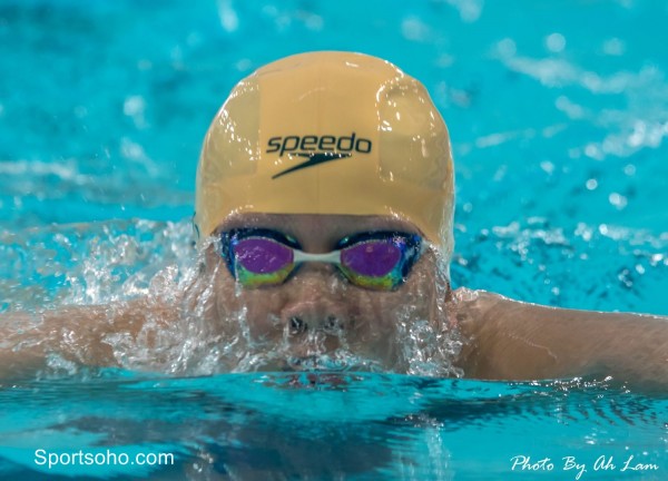 HK Open Swimming Championships 201-6