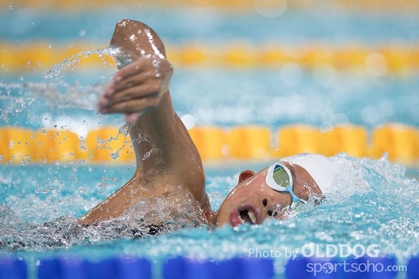 Swimming (7)