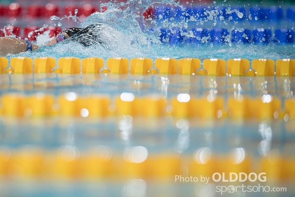 Swimming (9)