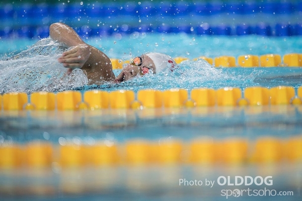 Swimming (11)