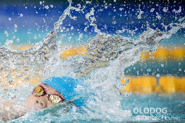 Swimming (13)