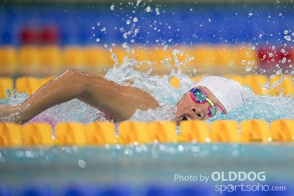 Swimming (20)