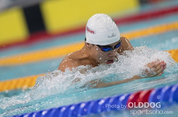 Swimming (77)