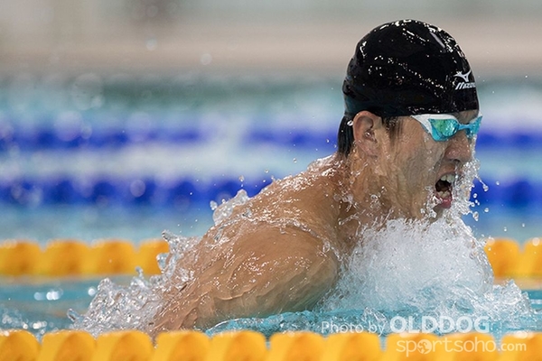 Swimming (80)