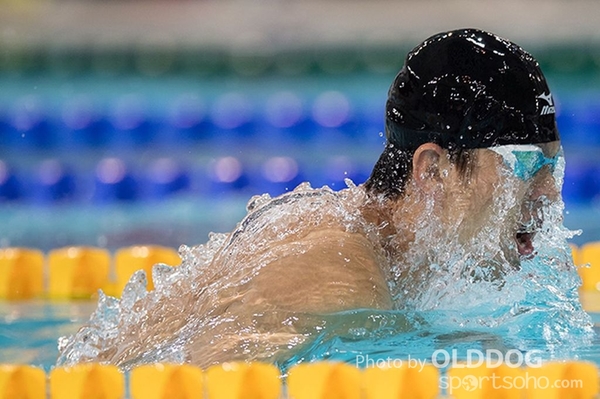 Swimming (81)
