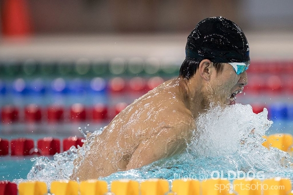 Swimming (82)