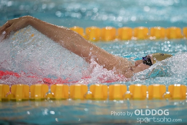 Swimming (85)