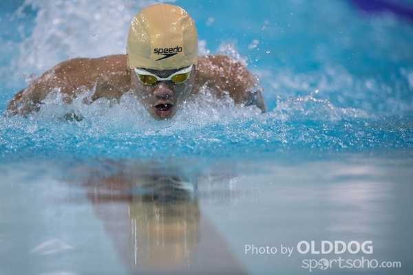 Swimming (90)
