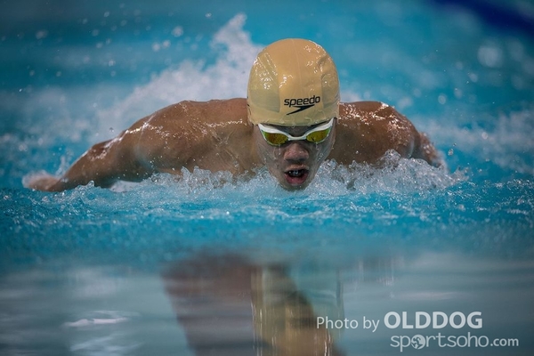 Swimming (91)
