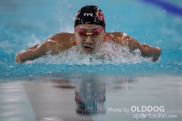 Swimming (95)