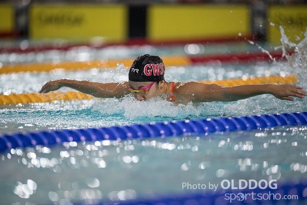 Swimming (99)