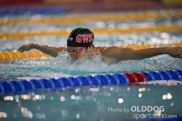 Swimming (101)