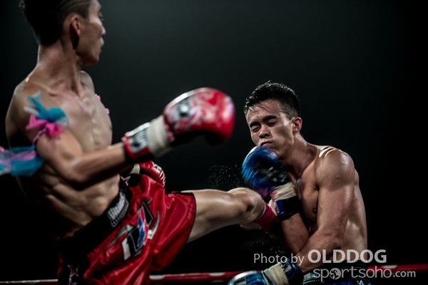 MuayThai (25)