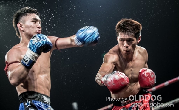 MuayThai (48)
