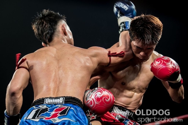 MuayThai (54)