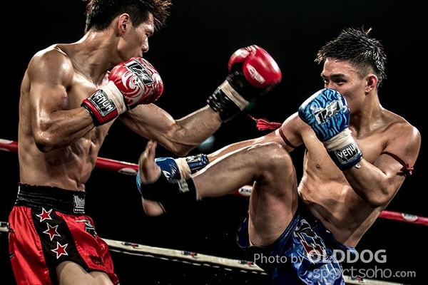 MuayThai (65)
