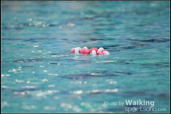 2016-08-21 Water Pool 0001
