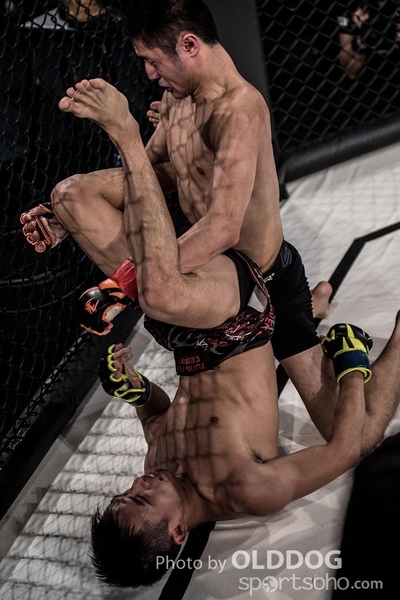 IMPI (19)
