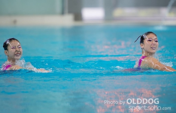 Diving (10)