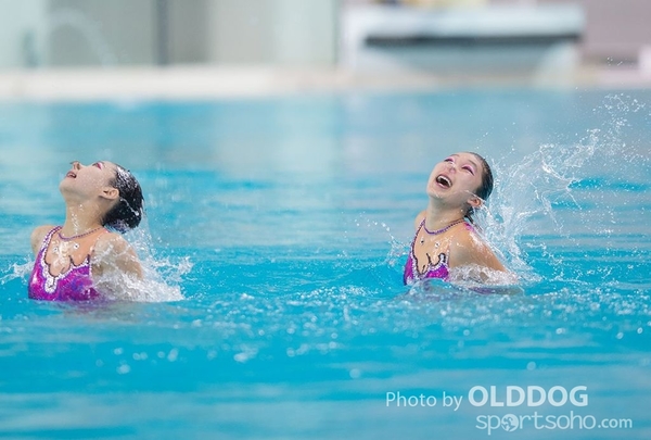 Diving (15)