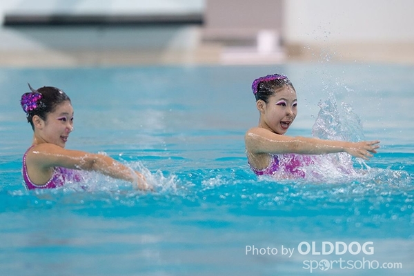 Diving (19)