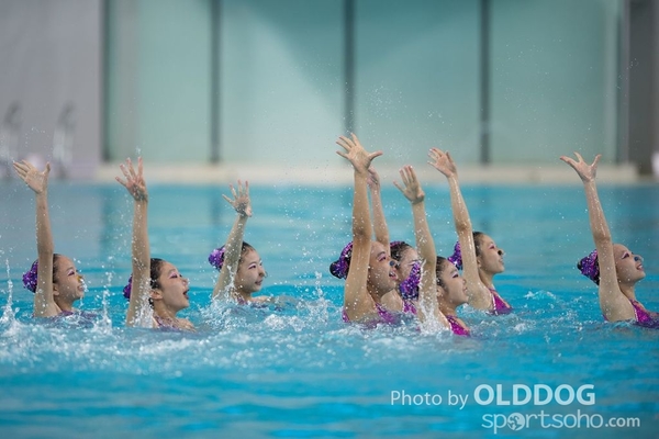 Diving (27)
