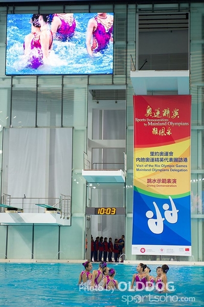 Diving (29)