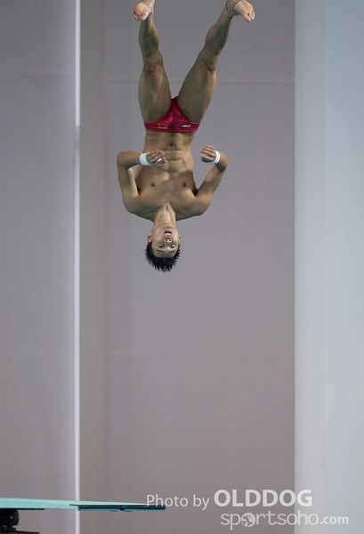 Diving (39)