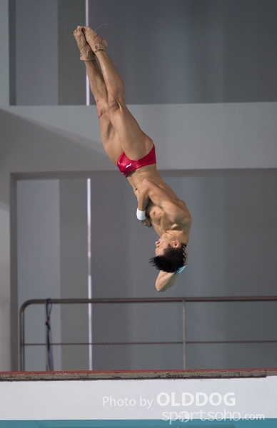 Diving (51)