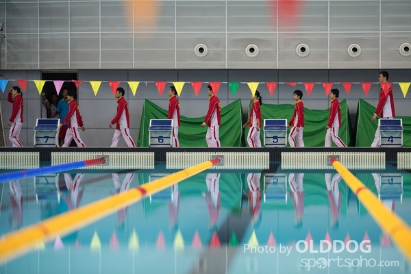 Diving (56)