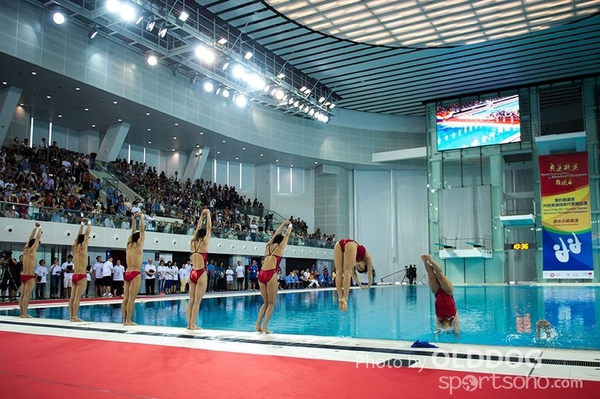 Diving (80)