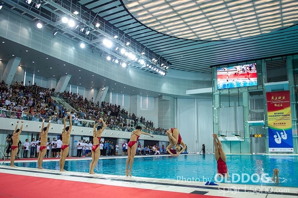 Diving (81)