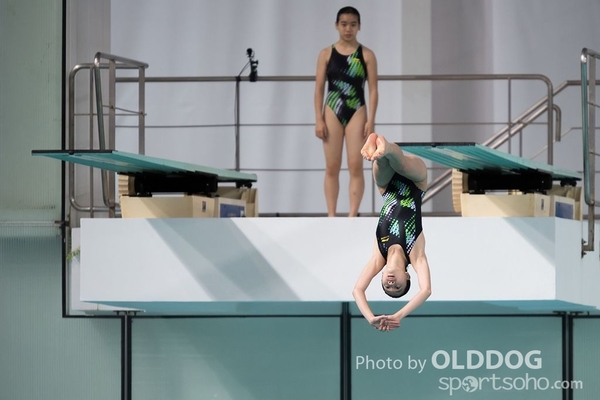 Diving (93)