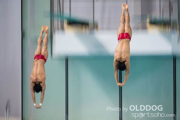 Diving (97)